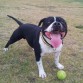 Ruffito Jugando!!!